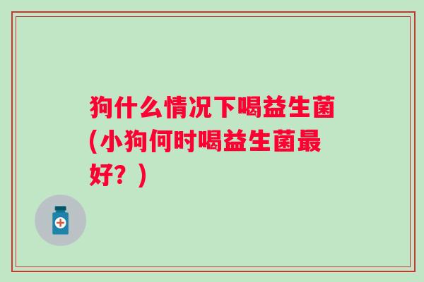 狗什么情况下喝益生菌(小狗何时喝益生菌好?) 狗什么情况下喝益生菌(小狗何时喝益生菌好?)