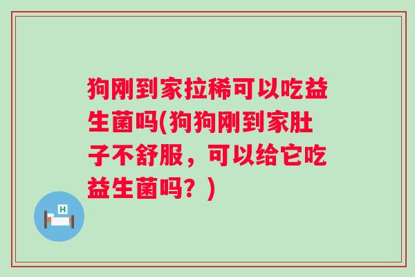 狗刚到家拉稀可以吃益生菌吗(狗狗刚到家肚子不舒服,可以给它吃益生菌吗?) 狗刚到家拉稀可以吃益生菌吗(狗狗刚到家肚子不舒服,可以给它吃益生菌吗?)
