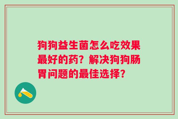 狗狗益生菌怎么吃效果好的药？解决狗狗肠胃问题的佳选择？
