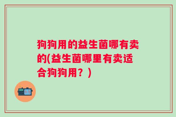 狗狗用的益生菌哪有卖的(益生菌哪里有卖适合狗狗用？)