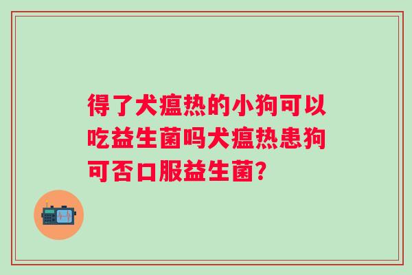 得了犬瘟热的小狗可以吃益生菌吗犬瘟热患狗可否口服益生菌？