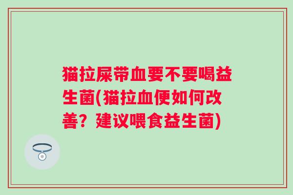 猫拉屎带要不要喝益生菌(猫拉便如何改善?建议喂食益生菌) 猫拉屎带要不要喝益生菌(猫拉便如何改善?建议喂食益生菌)