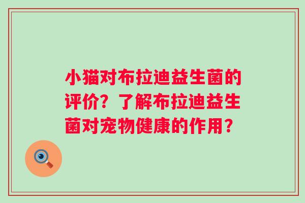 小猫对布拉迪益生菌的评价?了解布拉迪益生菌对宠物健康的作用? 小猫对布拉迪益生菌的评价?了解布拉迪益生菌对宠物健康的作用?
