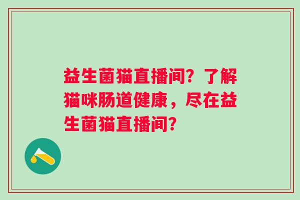 益生菌猫直播间？了解猫咪肠道健康，尽在益生菌猫直播间？