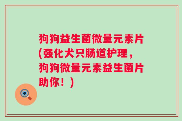 狗狗益生菌微量元素片(强化犬只肠道护理,狗狗微量元素益生菌片助你!) 狗狗益生菌微量元素片(强化犬只肠道护理,狗狗微量元素益生菌片助你!)