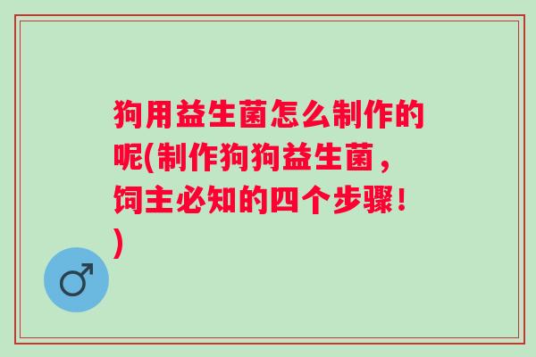 狗用益生菌怎么制作的呢(制作狗狗益生菌，饲主必知的四个步骤！)
