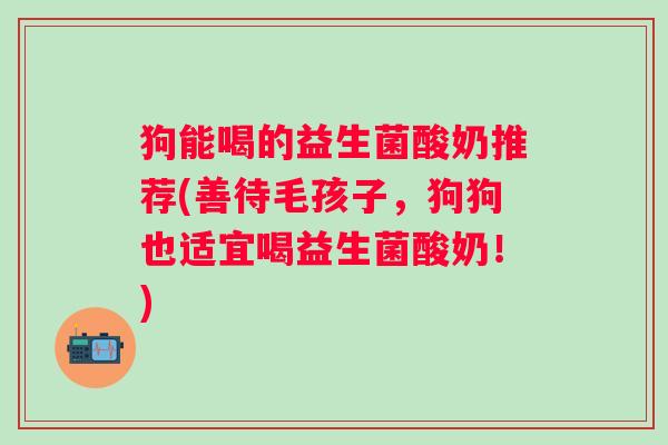 狗能喝的益生菌酸奶推荐(善待毛孩子，狗狗也适宜喝益生菌酸奶！)