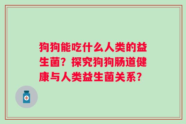 狗狗能吃什么人类的益生菌?探究狗狗肠道健康与人类益生菌关系? 狗狗能吃什么人类的益生菌?探究狗狗肠道健康与人类益生菌关系?