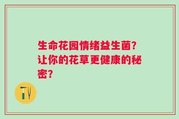 生命花园情绪益生菌？让你的花草更健康的秘密？