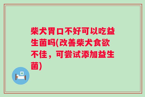 柴犬胃口不好可以吃益生菌吗(改善柴犬不佳,可尝试添加益生菌) 柴犬胃口不好可以吃益生菌吗(改善柴犬不佳,可尝试添加益生菌)