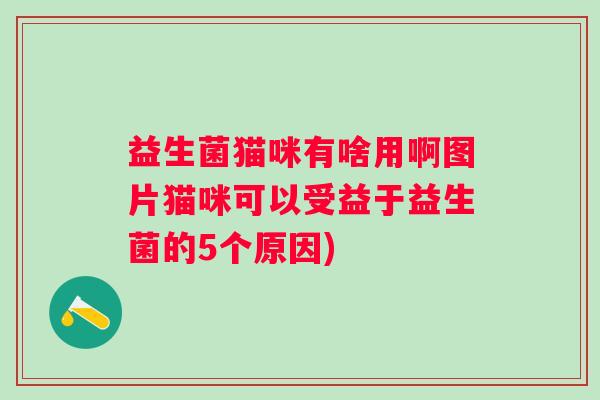 益生菌猫咪有啥用啊图片猫咪可以受益于益生菌的5个原因) 益生菌猫咪有啥用啊图片猫咪可以受益于益生菌的5个原因)