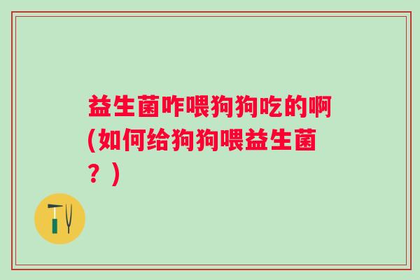 益生菌咋喂狗狗吃的啊(如何给狗狗喂益生菌？)