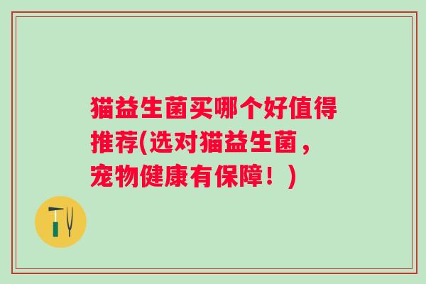 猫益生菌买哪个好值得推荐(选对猫益生菌,宠物健康有保障!) 猫益生菌买哪个好值得推荐(选对猫益生菌,宠物健康有保障!)
