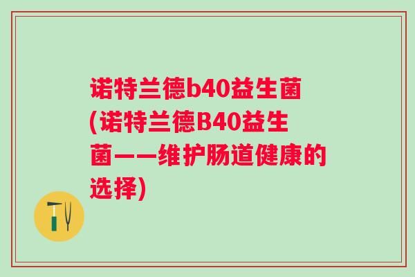 诺特兰德b40益生菌(诺特兰德B40益生菌——维护肠道健康的选择)