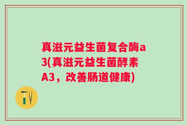 真滋元益生菌复合酶a3(真滋元益生菌酵素A3，改善肠道健康)