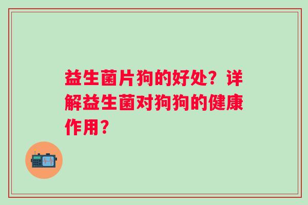 益生菌片狗的好处？详解益生菌对狗狗的健康作用？