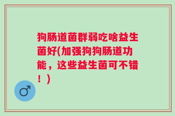狗肠道菌群弱吃啥益生菌好(加强狗狗肠道功能，这些益生菌可不错！)