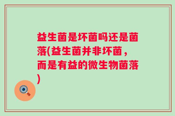 益生菌是坏菌吗还是菌落(益生菌并非坏菌,而是有益的微生物菌落) 益生菌是坏菌吗还是菌落(益生菌并非坏菌,而是有益的微生物菌落)