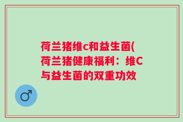 荷兰猪维c和益生菌(荷兰猪健康福利:维C与益生菌的双重功效 荷兰猪维c和益生菌(荷兰猪健康福利:维C与益生菌的双重功效