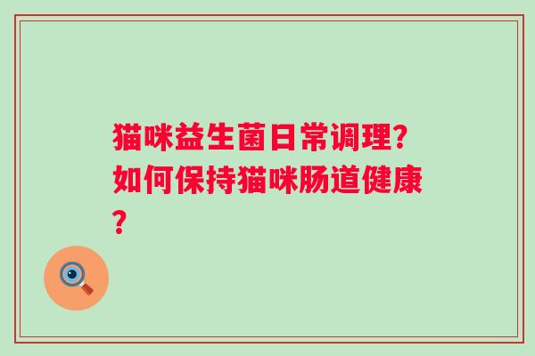 猫咪益生菌日常调理?如何保持猫咪肠道健康? 猫咪益生菌日常调理?如何保持猫咪肠道健康?