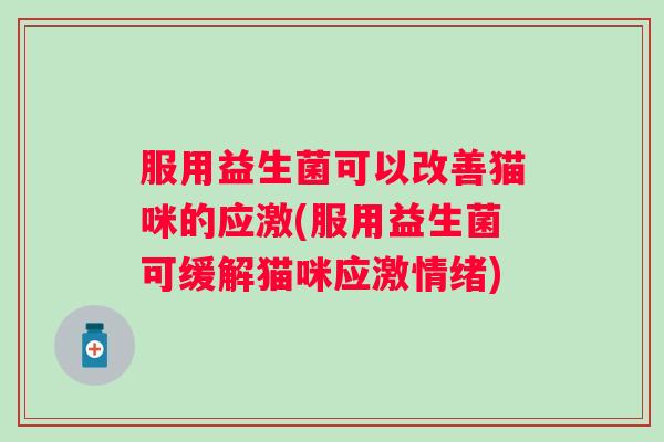 服用益生菌可以改善猫咪的应激(服用益生菌可缓解猫咪应激情绪) 服用益生菌可以改善猫咪的应激(服用益生菌可缓解猫咪应激情绪)