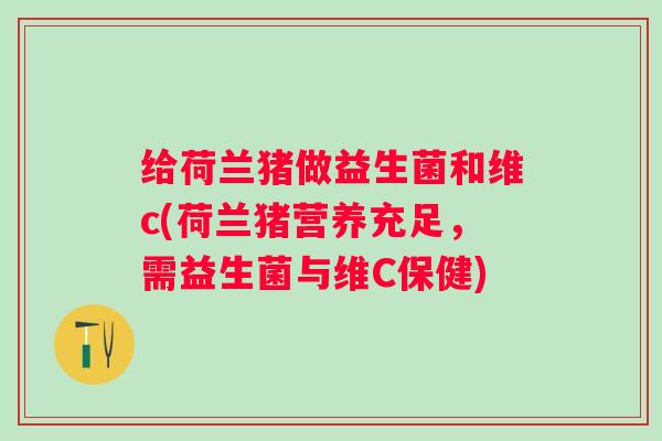 给荷兰猪做益生菌和维c(荷兰猪营养充足,需益生菌与维C保健) 给荷兰猪做益生菌和维c(荷兰猪营养充足,需益生菌与维C保健)