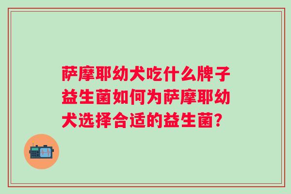 萨摩耶幼犬吃什么牌子益生菌如何为萨摩耶幼犬选择合适的益生菌？