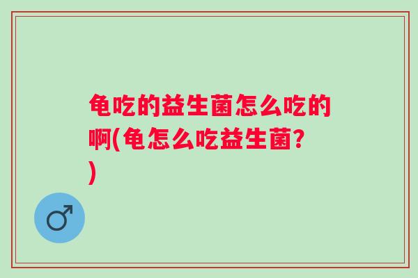 龟吃的益生菌怎么吃的啊(龟怎么吃益生菌？)