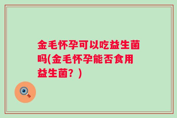 金毛怀孕可以吃益生菌吗(金毛怀孕能否食用益生菌?) 金毛怀孕可以吃益生菌吗(金毛怀孕能否食用益生菌?)