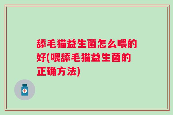 舔毛猫益生菌怎么喂的好(喂舔毛猫益生菌的正确方法)