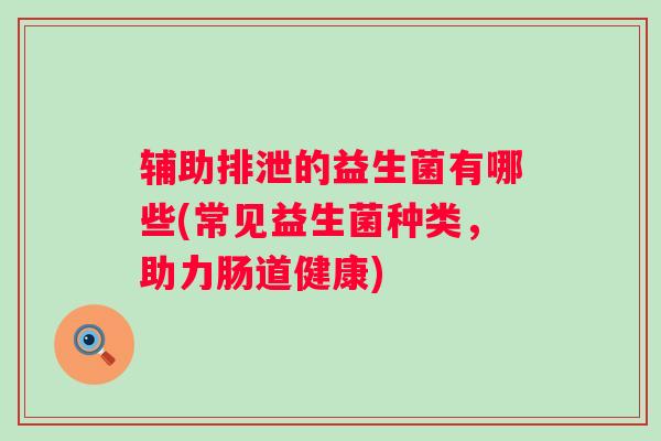 辅助排泄的益生菌有哪些(常见益生菌种类，助力肠道健康)