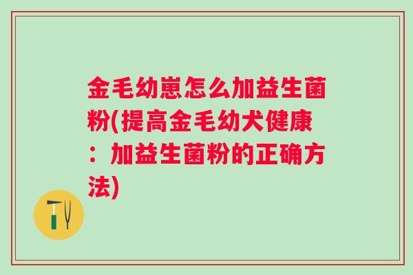金毛幼崽怎么加益生菌粉(提高金毛幼犬健康：加益生菌粉的正确方法)