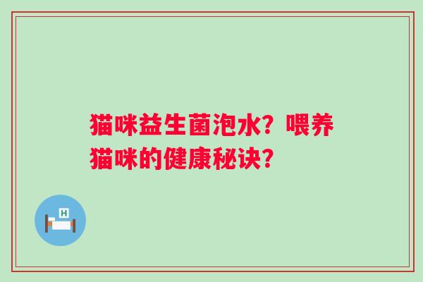 猫咪益生菌泡水?喂养猫咪的健康秘诀? 猫咪益生菌泡水?喂养猫咪的健康秘诀?