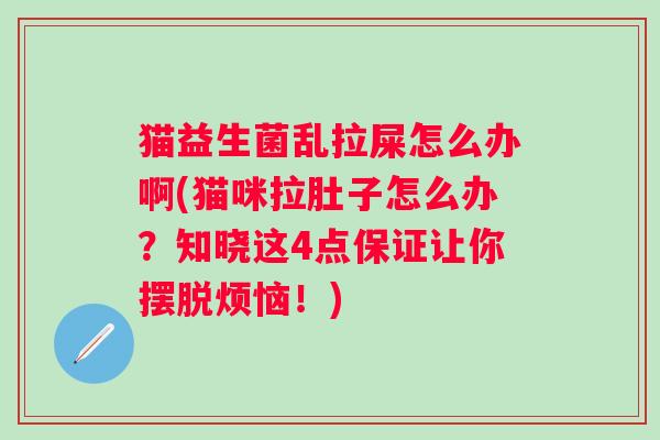 猫益生菌乱拉屎怎么办啊(猫咪拉肚子怎么办?知晓这4点保证让你摆脱烦恼!) 猫益生菌乱拉屎怎么办啊(猫咪拉肚子怎么办?知晓这4点保证让你摆脱烦恼!)