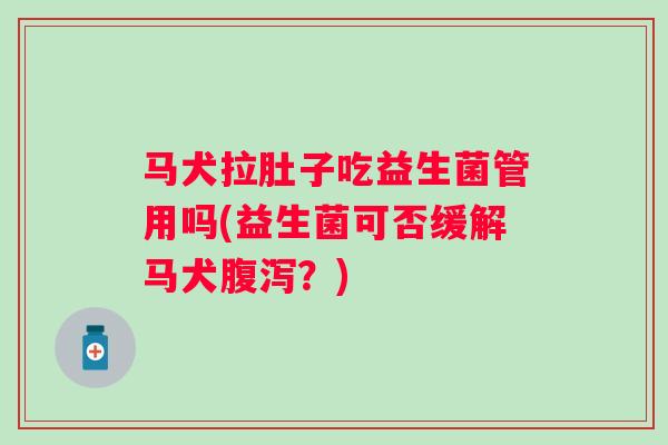 马犬拉肚子吃益生菌管用吗(益生菌可否缓解马犬?) 马犬拉肚子吃益生菌管用吗(益生菌可否缓解马犬?)