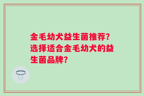 金毛幼犬益生菌推荐?选择适合金毛幼犬的益生菌品牌? 金毛幼犬益生菌推荐?选择适合金毛幼犬的益生菌品牌?