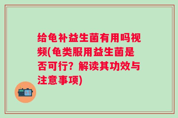 给龟补益生菌有用吗视频(龟类服用益生菌是否可行？解读其功效与注意事项)