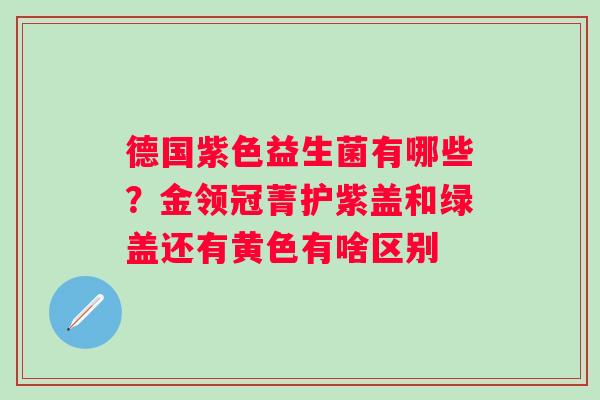 德国紫色益生菌有哪些？金领冠菁护紫盖和绿盖还有黄色有啥区别