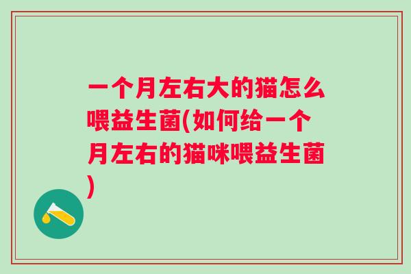一个月左右大的猫怎么喂益生菌(如何给一个月左右的猫咪喂益生菌) 一个月左右大的猫怎么喂益生菌(如何给一个月左右的猫咪喂益生菌)