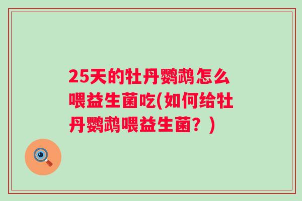 25天的牡丹鹦鹉怎么喂益生菌吃(如何给牡丹鹦鹉喂益生菌?) 25天的牡丹鹦鹉怎么喂益生菌吃(如何给牡丹鹦鹉喂益生菌?)