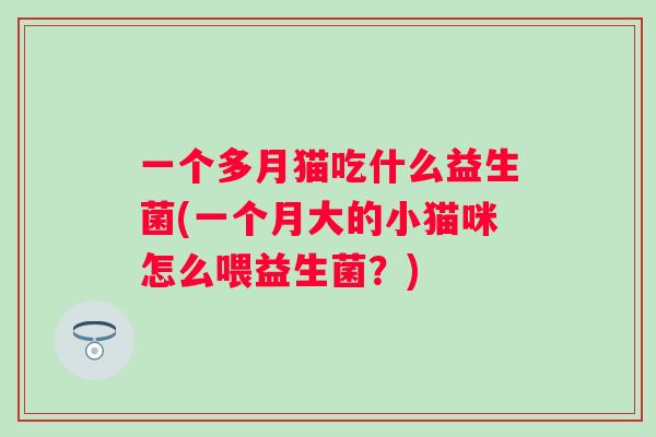 一个多月猫吃什么益生菌(一个月大的小猫咪怎么喂益生菌?) 一个多月猫吃什么益生菌(一个月大的小猫咪怎么喂益生菌?)
