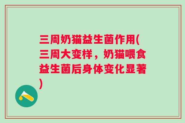 三周奶猫益生菌作用(三周大变样,奶猫喂食益生菌后身体变化显著) 三周奶猫益生菌作用(三周大变样,奶猫喂食益生菌后身体变化显著)