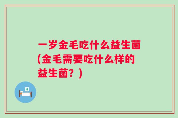 一岁金毛吃什么益生菌(金毛需要吃什么样的益生菌?) 一岁金毛吃什么益生菌(金毛需要吃什么样的益生菌?)