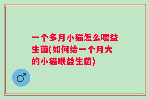 一个多月小猫怎么喂益生菌(如何给一个月大的小猫喂益生菌)