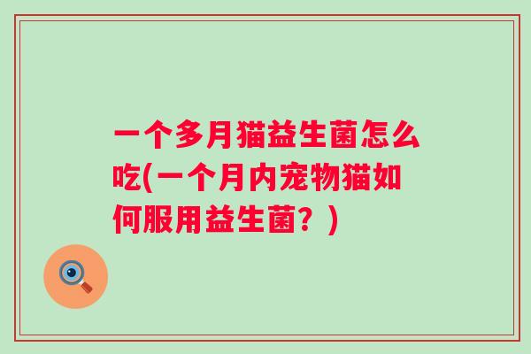 一个多月猫益生菌怎么吃(一个月内宠物猫如何服用益生菌?) 一个多月猫益生菌怎么吃(一个月内宠物猫如何服用益生菌?)