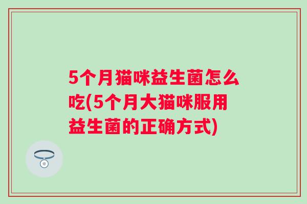 5个月猫咪益生菌怎么吃(5个月大猫咪服用益生菌的正确方式)