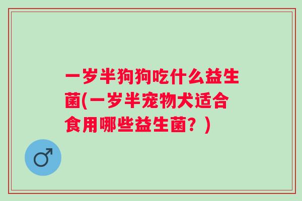 一岁半狗狗吃什么益生菌(一岁半宠物犬适合食用哪些益生菌？)