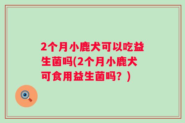 2个月小鹿犬可以吃益生菌吗(2个月小鹿犬可食用益生菌吗?) 2个月小鹿犬可以吃益生菌吗(2个月小鹿犬可食用益生菌吗?)