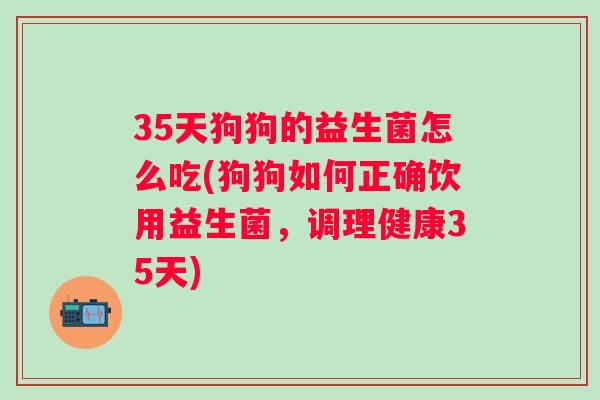 35天狗狗的益生菌怎么吃(狗狗如何正确饮用益生菌,调理健康35天) 35天狗狗的益生菌怎么吃(狗狗如何正确饮用益生菌,调理健康35天)