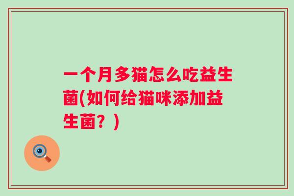 一个月多猫怎么吃益生菌(如何给猫咪添加益生菌？)